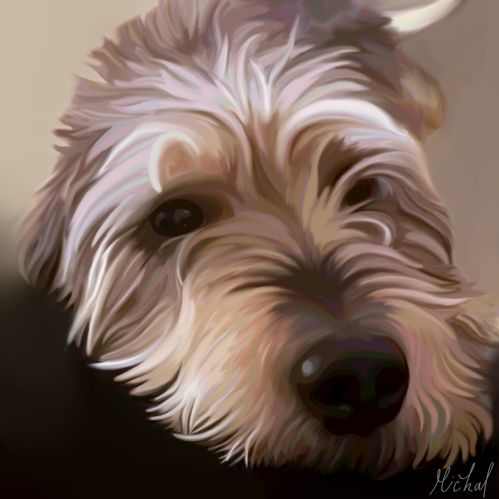 Pet portrait